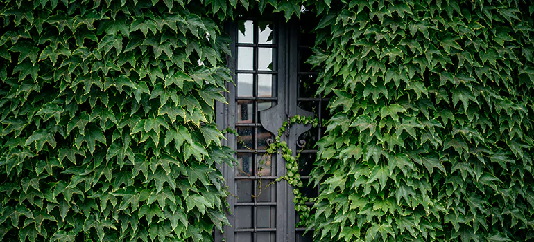 Garden Gate Repair in Fairfield, CA