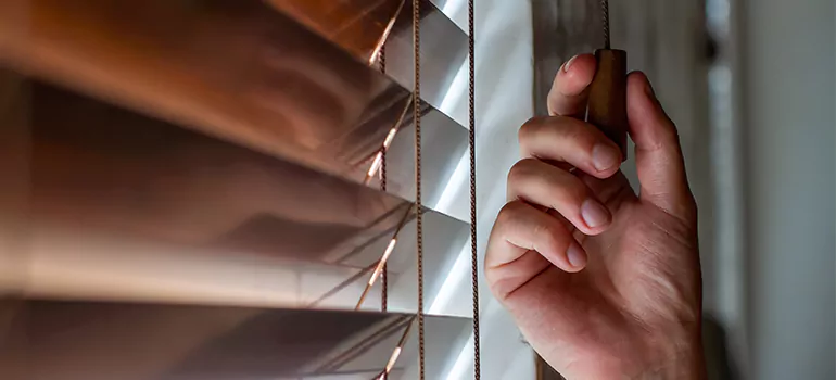 Double Roller Blinds in Fairfield, CA