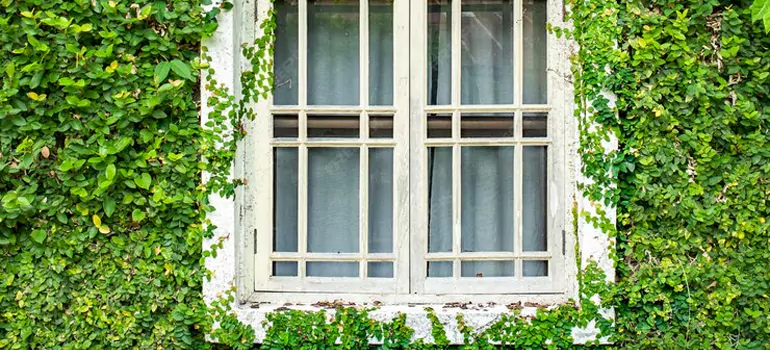 Garden Window Repair Near Me in Fairfield, CA