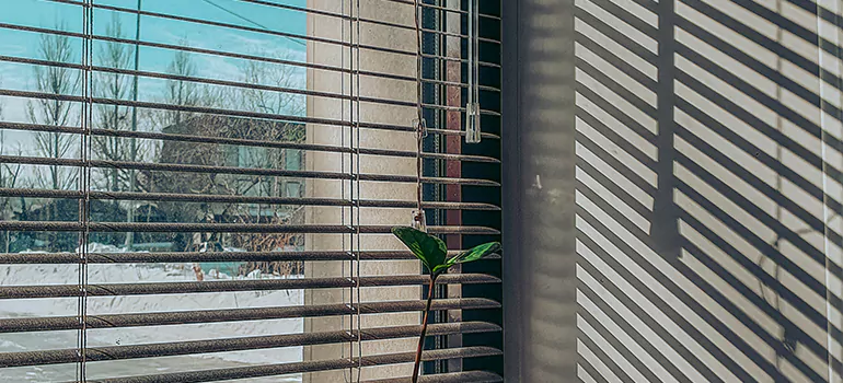 Commercial Window Blinds in Fairfield, CA