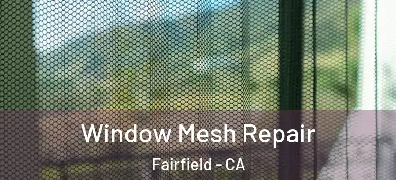 Window Mesh Repair Fairfield - CA