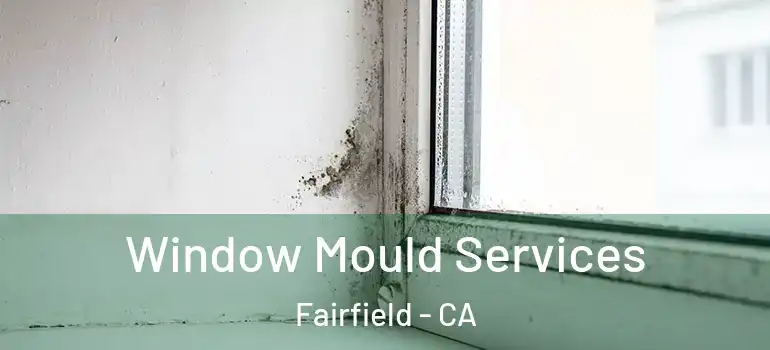  Window Mould Services Fairfield - CA